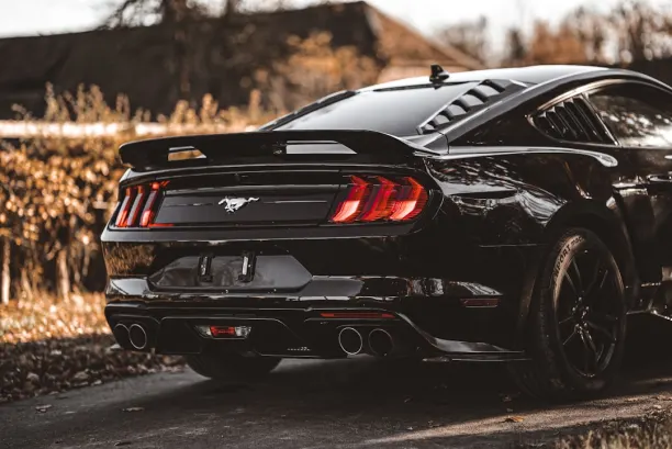 PlaySunny Casino Android/iOS-app